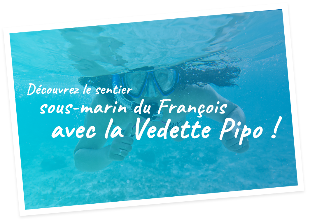 Découvrez le sentier sous-marin du François avec la Vedette Pipo !
